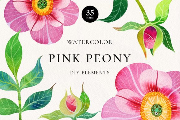 Download Pink Peony Watercolor DIY Elements - Elements Collection