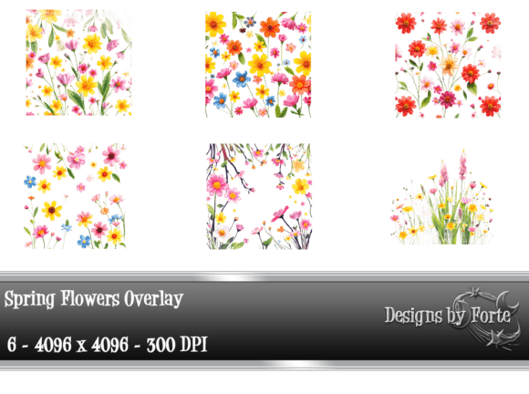 Download 6 Vibrant Spring Floral Overlays - Overlay Collection